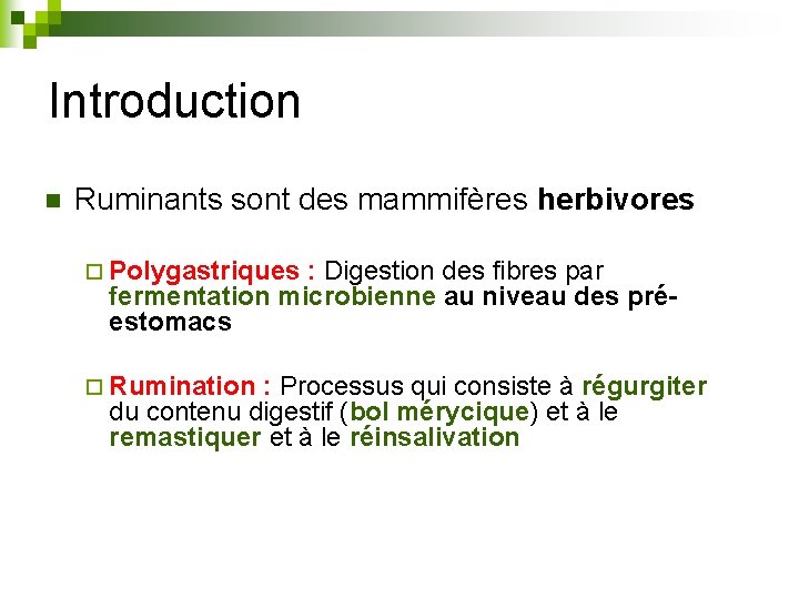 Introduction n Ruminants sont des mammifères herbivores ¨ Polygastriques : Digestion des fibres par