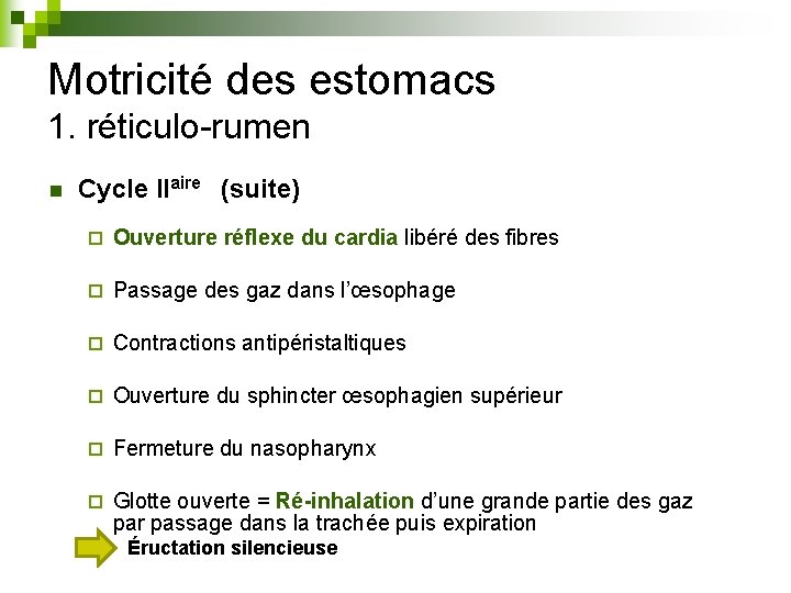 Motricité des estomacs 1. réticulo-rumen n Cycle IIaire (suite) ¨ Ouverture réflexe du cardia