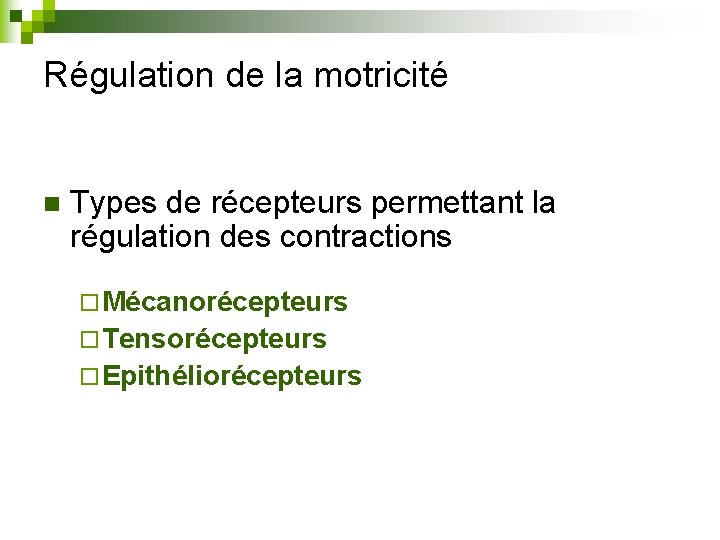 Régulation de la motricité n Types de récepteurs permettant la régulation des contractions ¨