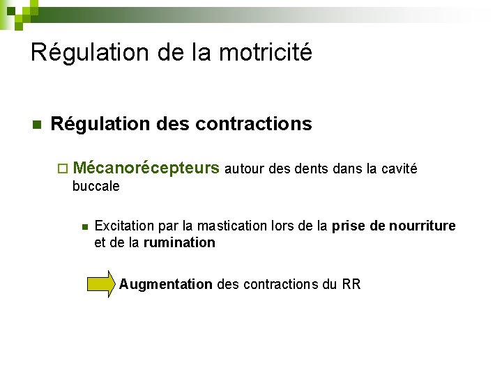 Régulation de la motricité n Régulation des contractions ¨ Mécanorécepteurs autour des dents dans