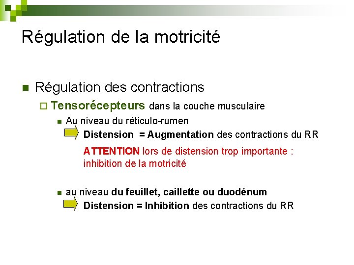 Régulation de la motricité n Régulation des contractions ¨ Tensorécepteurs dans la couche musculaire