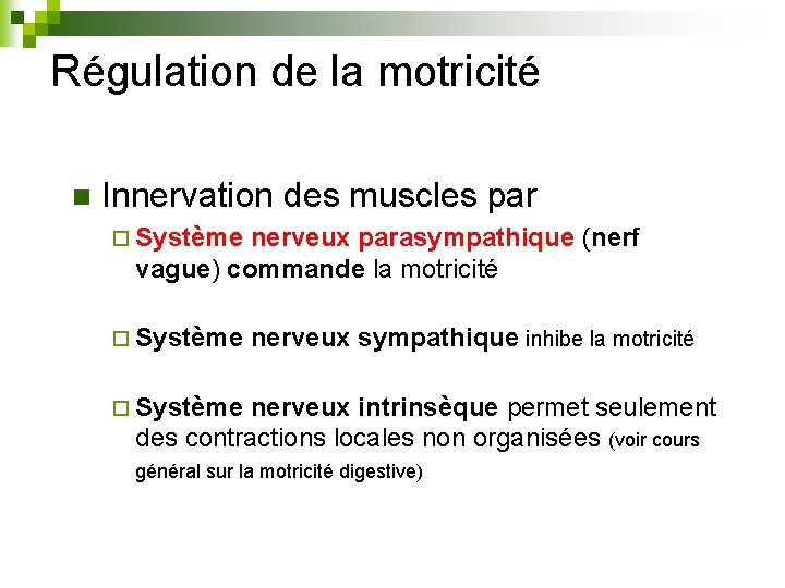 Régulation de la motricité n Innervation des muscles par ¨ Système nerveux parasympathique (nerf