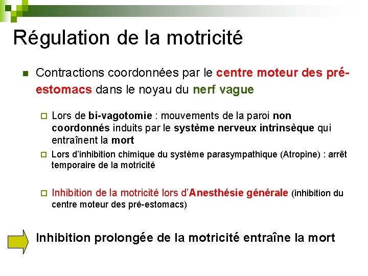 Régulation de la motricité n Contractions coordonnées par le centre moteur des préestomacs dans