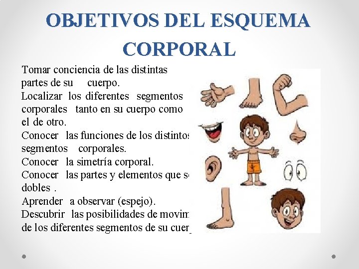 OBJETIVOS DEL ESQUEMA CORPORAL Tomar conciencia de las distintas partes de su cuerpo. Localizar