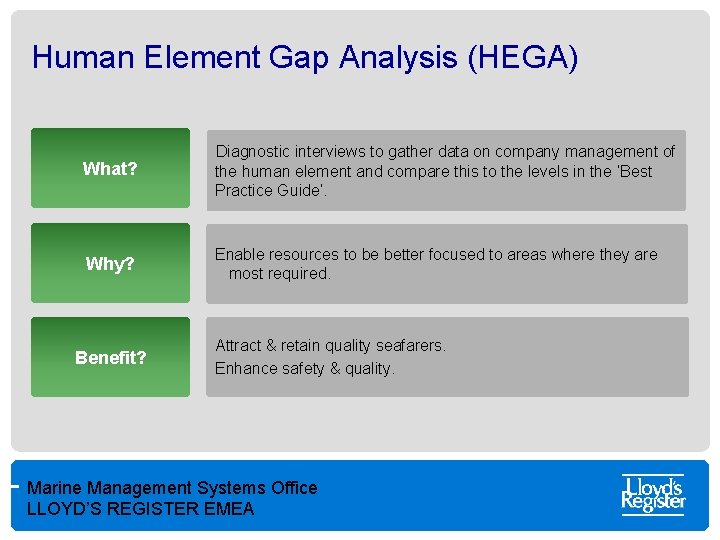 Human Element Gap Analysis (HEGA) What? Diagnostic interviews to gather data on company management