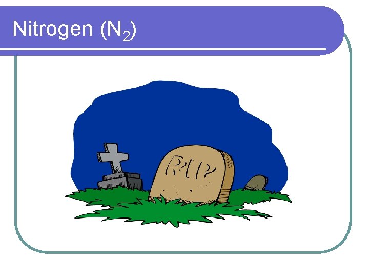 Nitrogen (N 2) 