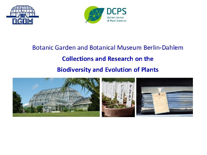 Botanic Garden and Botanical Museum Berlin-Dahlem Collections and Research on the Biodiversity and Evolution