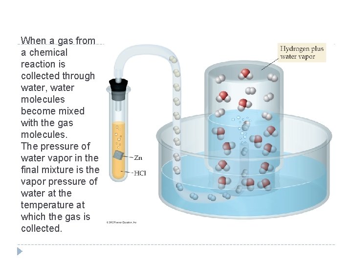 When a gas from a chemical reaction is collected through water, water molecules become