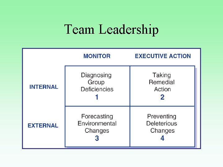 Team Leadership 