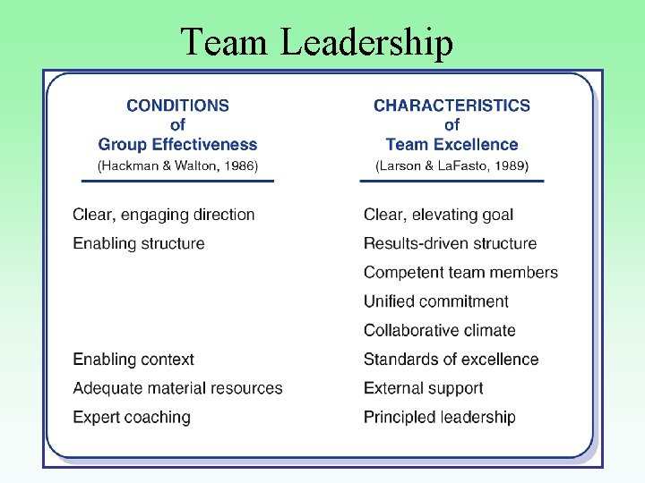 Team Leadership 