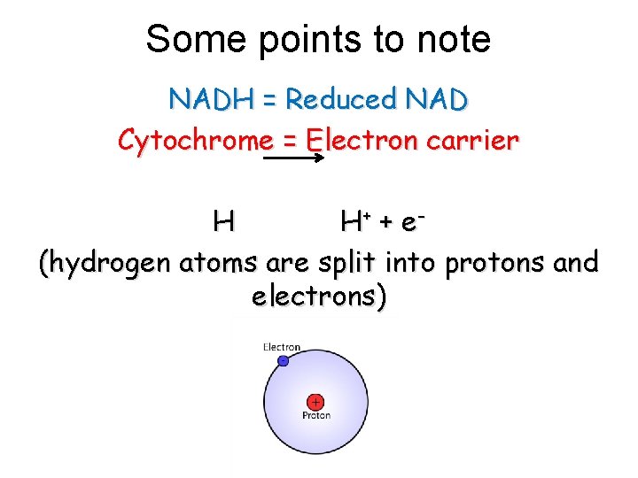 Some points to note NADH = Reduced NAD Cytochrome = Electron carrier H H+