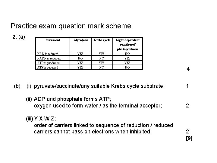 Practice exam question mark scheme 2. (a) Statement NAD is reduced NADP is reduced