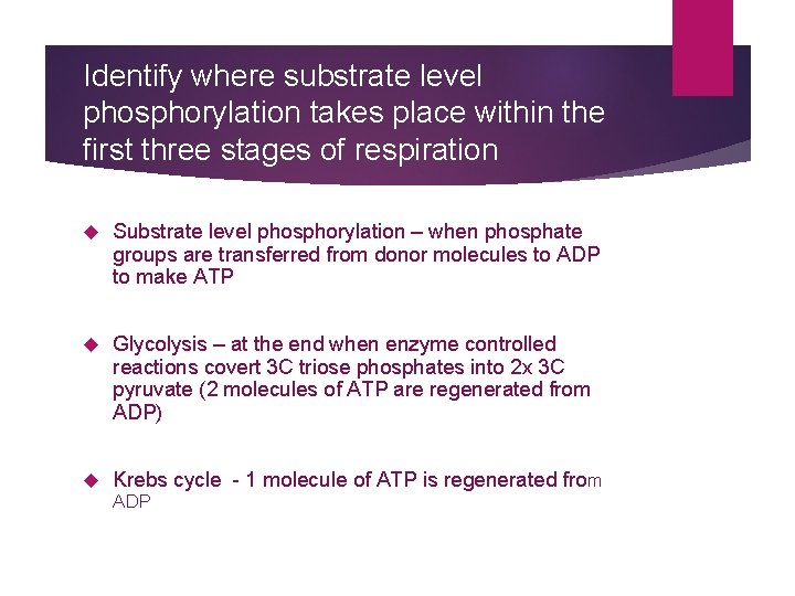 Identify where substrate level phosphorylation takes place within the first three stages of respiration