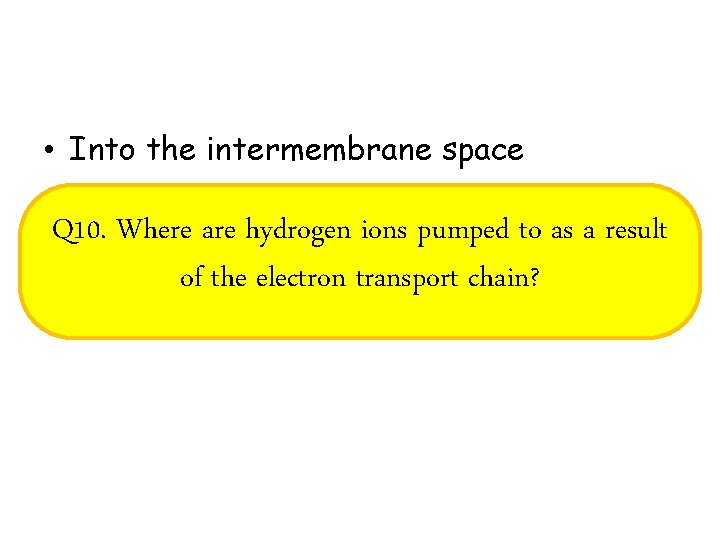  • Into the intermembrane space Q 10. Where are hydrogen ions pumped to