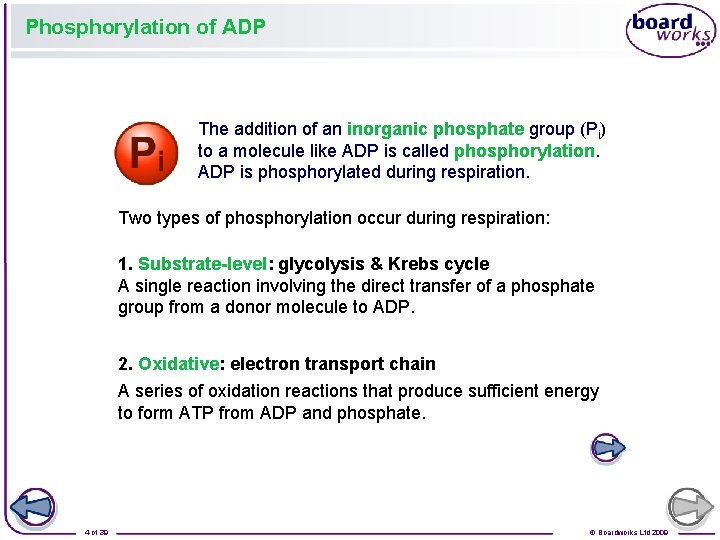 Phosphorylation of ADP The addition of an inorganic phosphate group (Pi) to a molecule