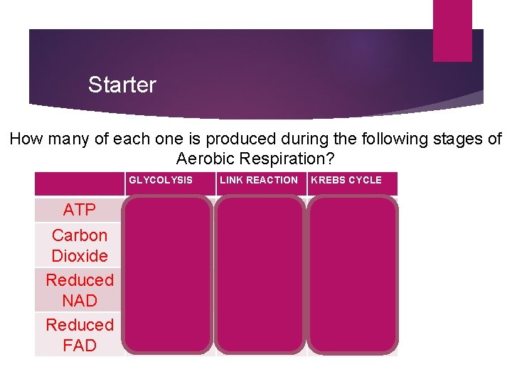 Starter How many of each one is produced during the following stages of Aerobic