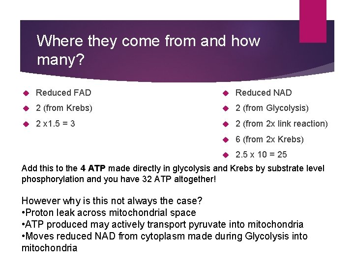 Where they come from and how many? Reduced FAD Reduced NAD 2 (from Krebs)