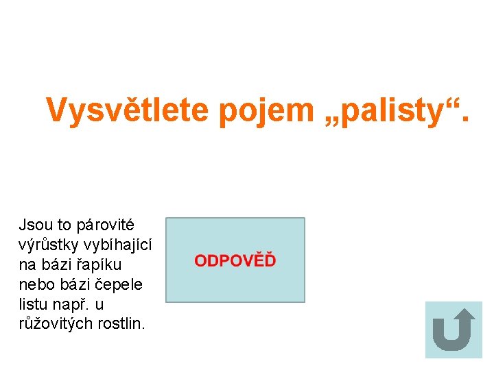 Vysvětlete pojem „palisty“. Jsou to párovité výrůstky vybíhající na bázi řapíku nebo bázi čepele