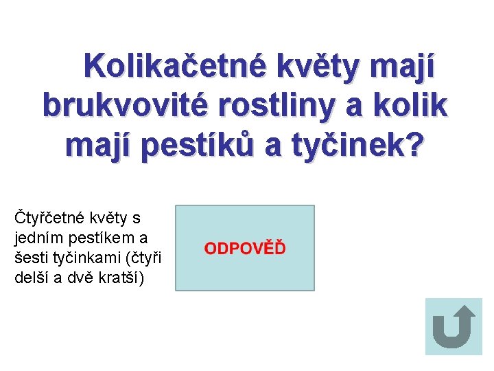 Kolikačetné květy mají brukvovité rostliny a kolik mají pestíků a tyčinek? Čtyřčetné květy s