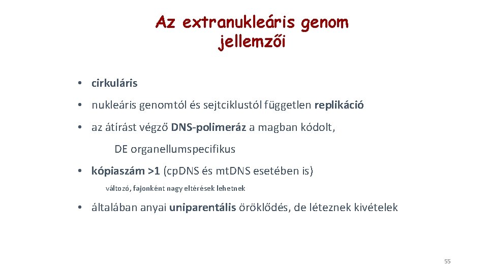 Az extranukleáris genom jellemzői • cirkuláris • nukleáris genomtól és sejtciklustól független replikáció •