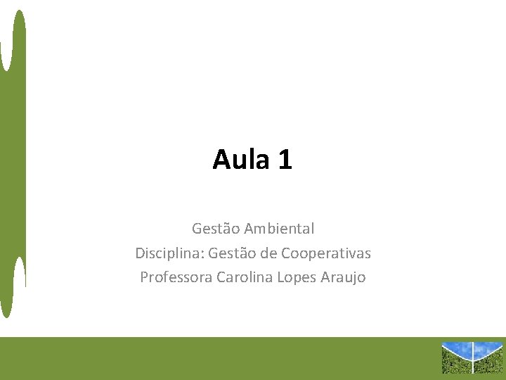 Aula 1 Gestão Ambiental Disciplina: Gestão de Cooperativas Professora Carolina Lopes Araujo 