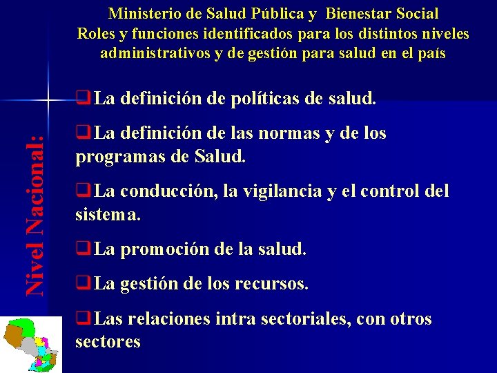 Ministerio de Salud Pública y Bienestar Social Roles y funciones identificados para los distintos