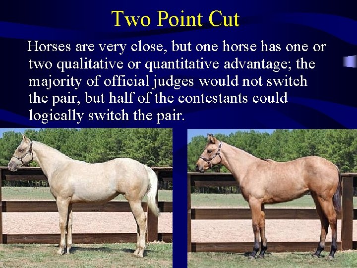 Two Point Cut Horses are very close, but one horse has one or two