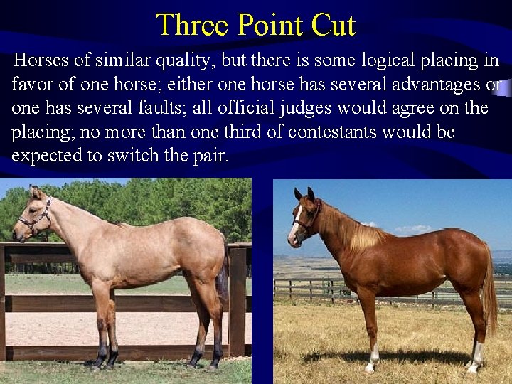 Three Point Cut Horses of similar quality, but there is some logical placing in