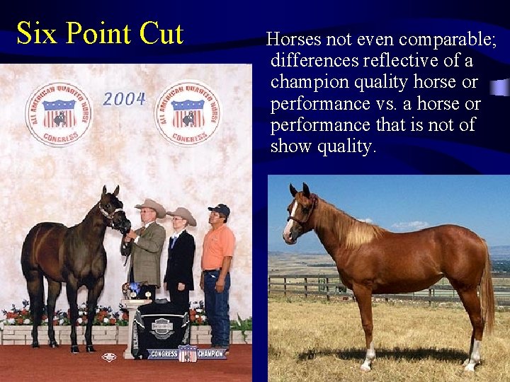 Six Point Cut Horses not even comparable; differences reflective of a champion quality horse