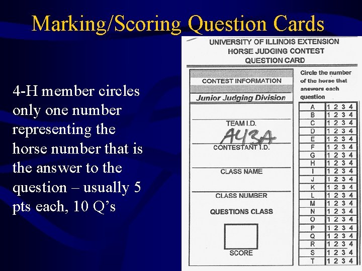 Marking/Scoring Question Cards 4 -H member circles only one number representing the horse number