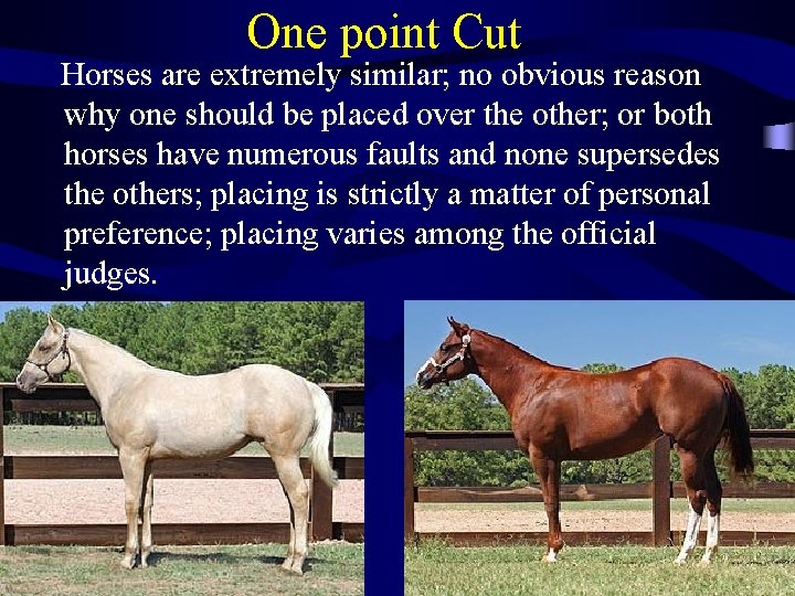 One point Cut Horses are extremely similar; no obvious reason why one should be