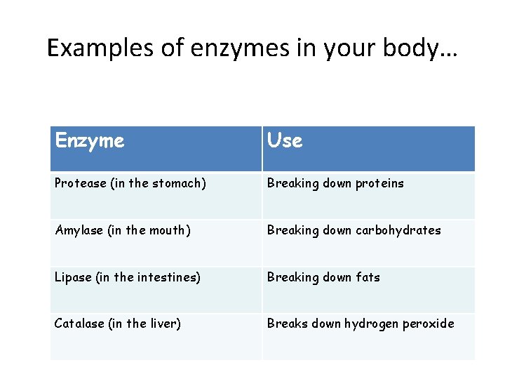 Examples of enzymes in your body… Enzyme Use Protease (in the stomach) Breaking down Examples of enzymes in your body… Enzyme Use Protease (in the stomach) Breaking down