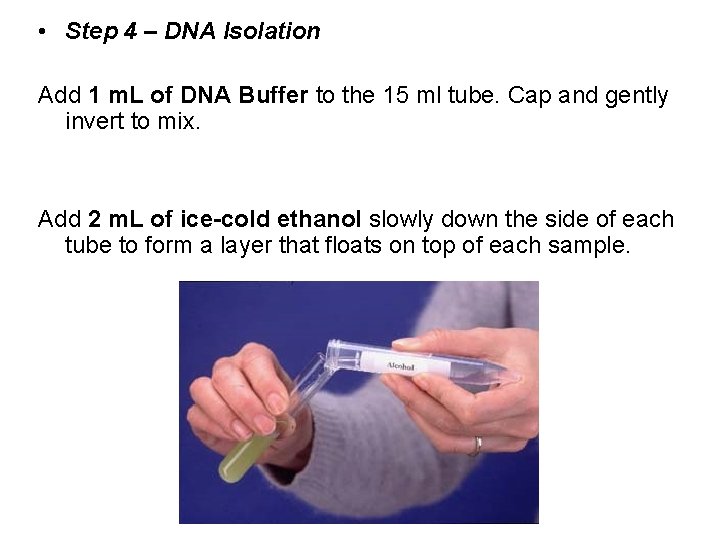  • Step 4 – DNA Isolation Add 1 m. L of DNA Buffer