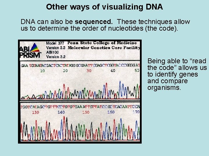 Other ways of visualizing DNA can also be sequenced. These techniques allow us to