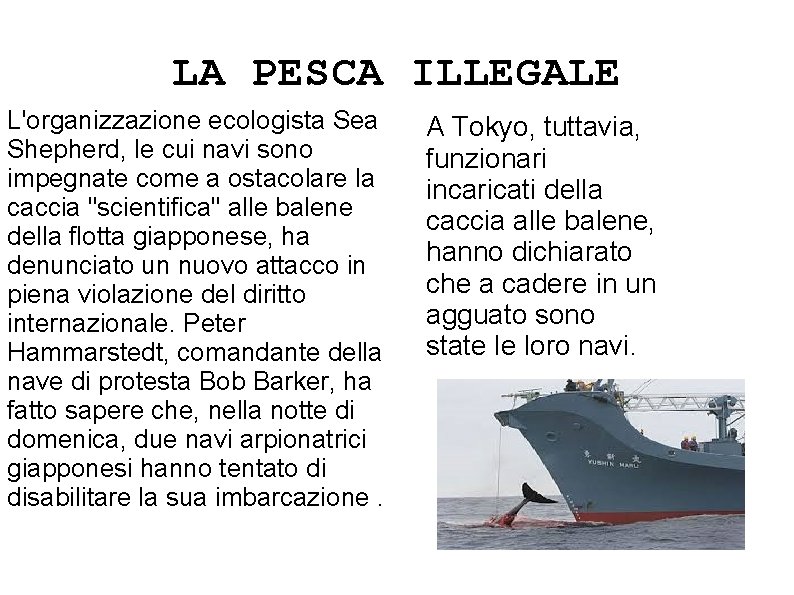 LA PESCA ILLEGALE L'organizzazione ecologista Sea Shepherd, le cui navi sono impegnate come a