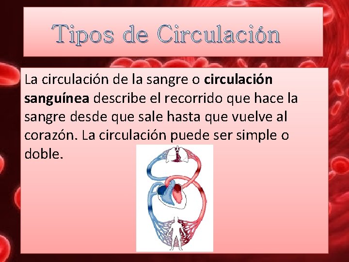 Tipos de Circulación La circulación de la sangre o circulación sanguínea describe el recorrido