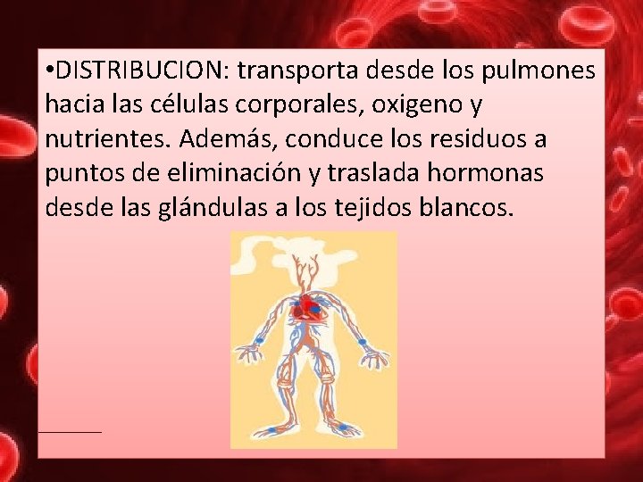  • DISTRIBUCION: transporta desde los pulmones hacia las células corporales, oxigeno y nutrientes.