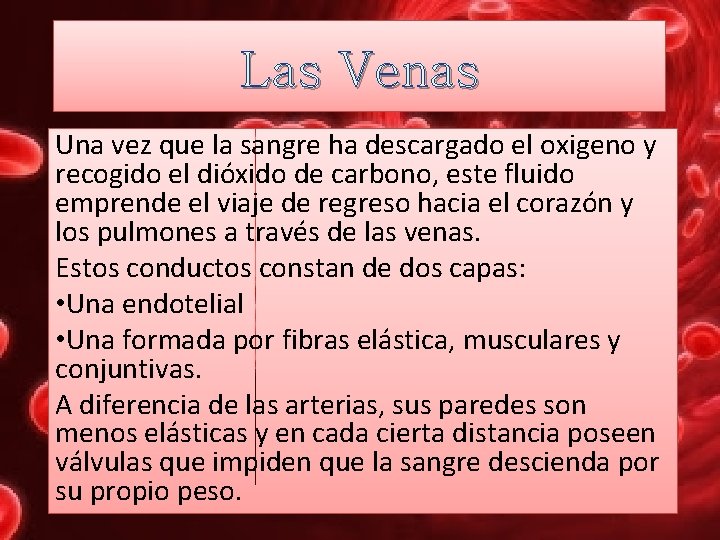 Las Venas Una vez que la sangre ha descargado el oxigeno y recogido el