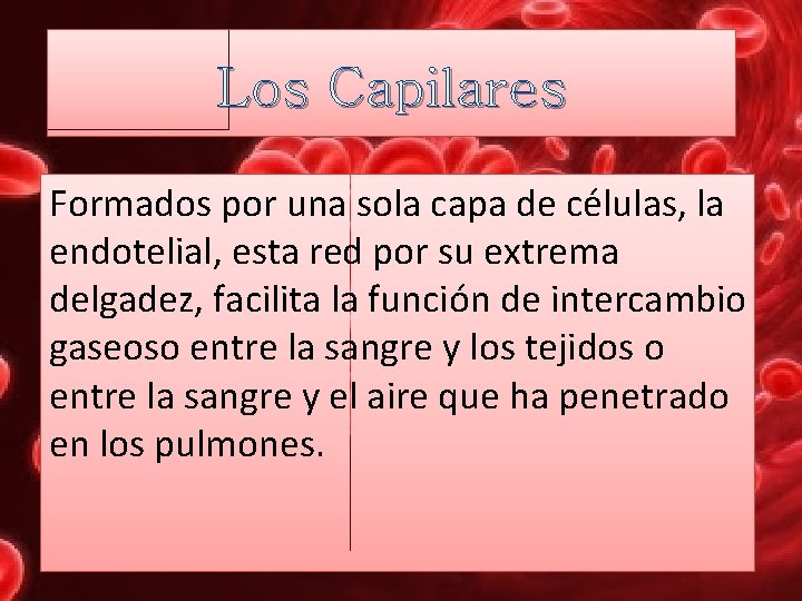 Los Capilares Formados por una sola capa de células, la endotelial, esta red por