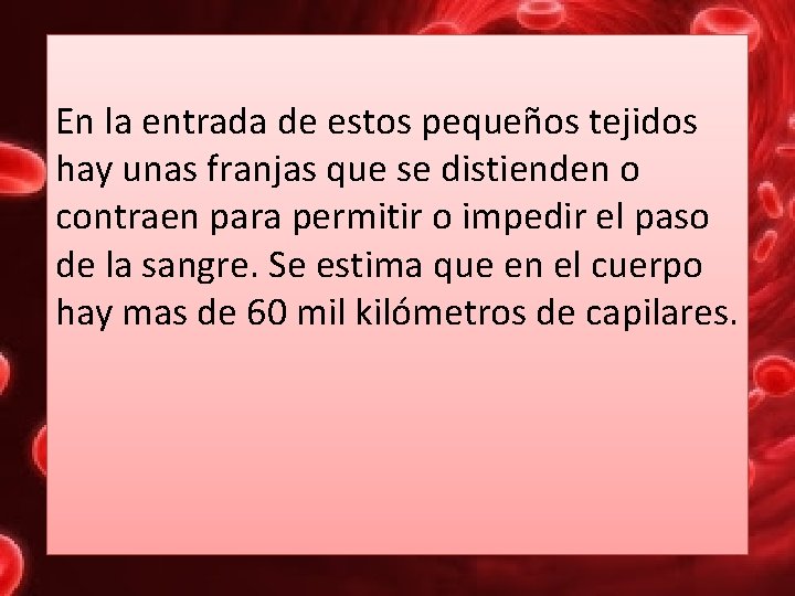 En la entrada de estos pequeños tejidos hay unas franjas que se distienden o