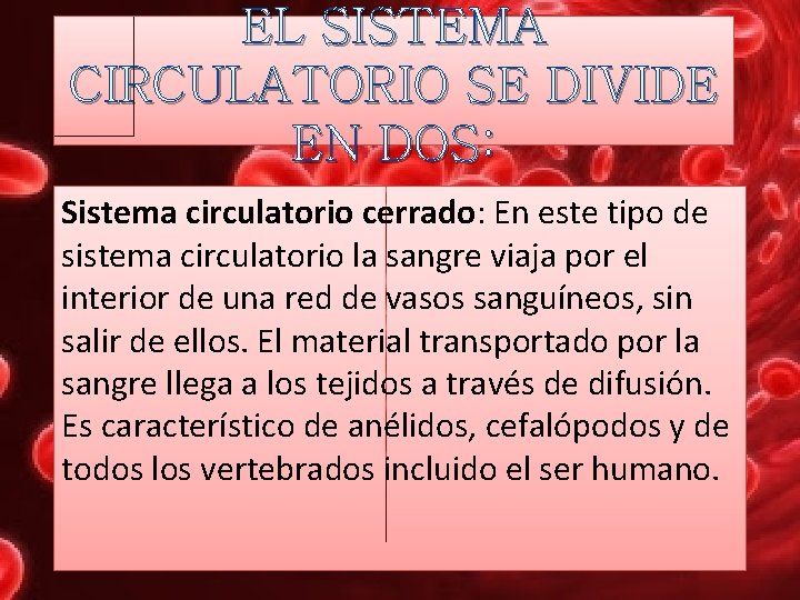 EL SISTEMA CIRCULATORIO SE DIVIDE EN DOS: Sistema circulatorio cerrado: En este tipo de