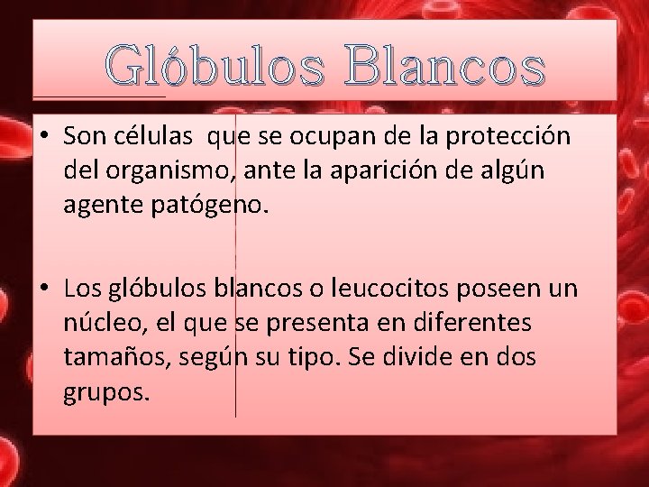 Glóbulos Blancos • Son células que se ocupan de la protección del organismo, ante