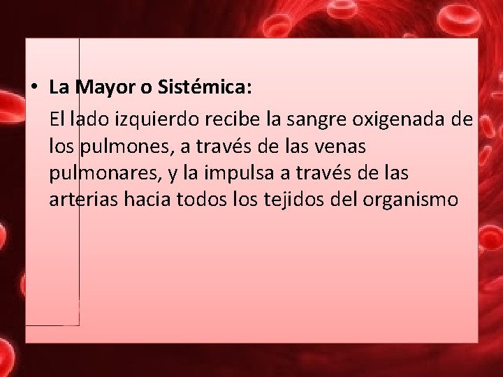 • La Mayor o Sistémica: El lado izquierdo recibe la sangre oxigenada de