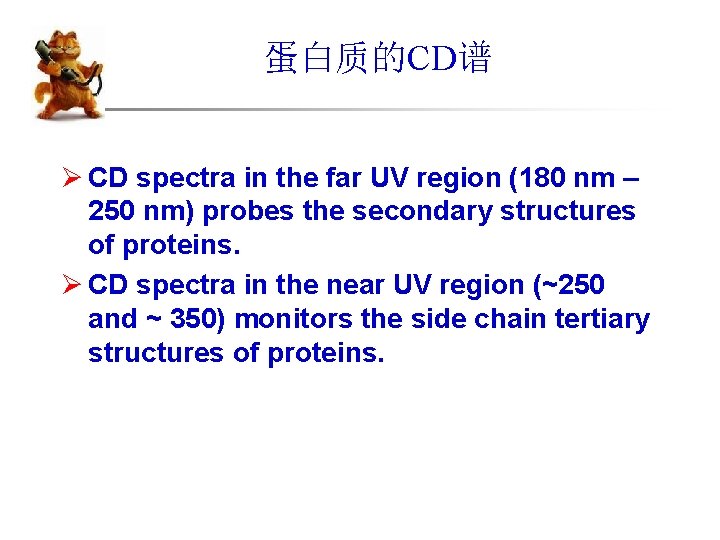 蛋白质的CD谱 Ø CD spectra in the far UV region (180 nm – 250 nm)