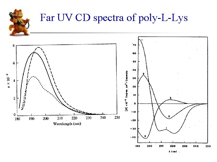 Far UV CD spectra of poly-L-Lys 