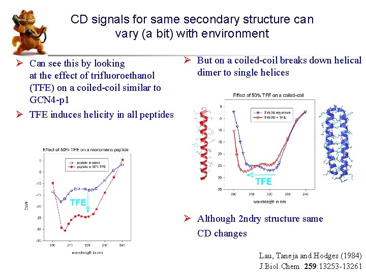 CD signals for same secondary structure can vary (a bit) with environment Ø But
