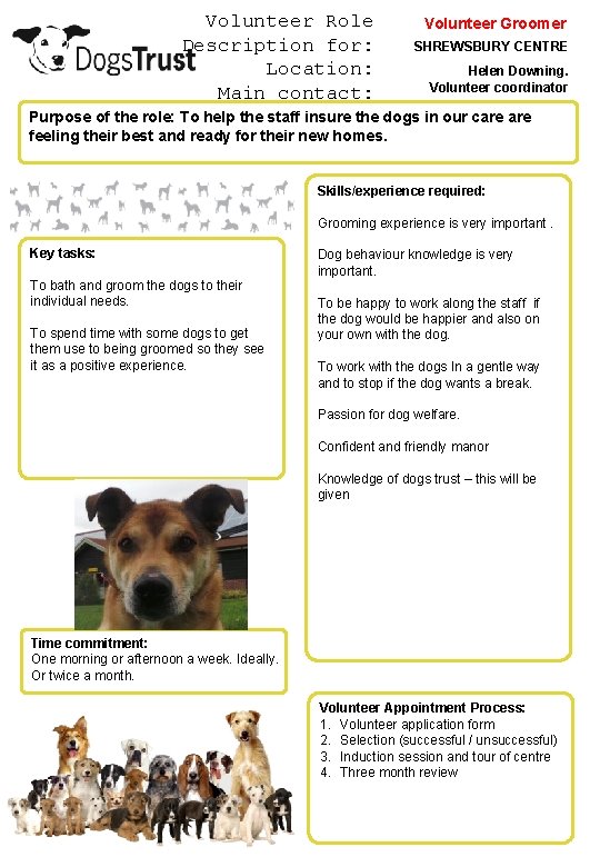Volunteer Role Description for: Location: Main contact: Volunteer Groomer SHREWSBURY CENTRE Helen Downing. Volunteer Volunteer Role Description for: Location: Main contact: Volunteer Groomer SHREWSBURY CENTRE Helen Downing. Volunteer