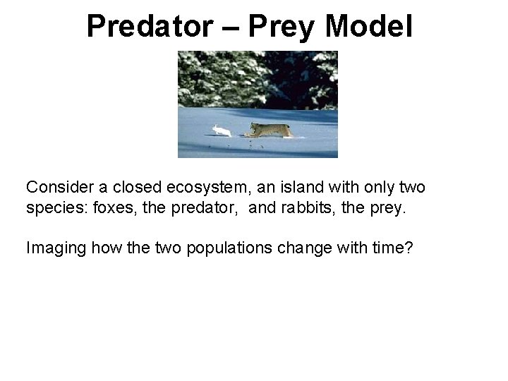 Predator – Prey Model Consider a closed ecosystem, an island with only two species: