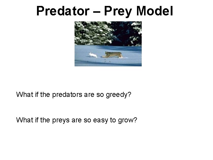 Predator – Prey Model What if the predators are so greedy? What if the