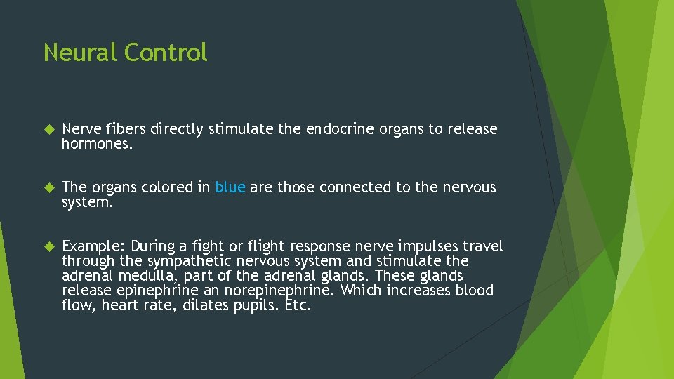 Neural Control Nerve fibers directly stimulate the endocrine organs to release hormones. The organs